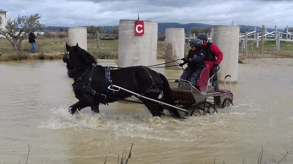 Resultados 1ª Fase del Campeonato Navarro de Enganches 2018 en el Club Deportivo Enganches Finca "La Pinturita"